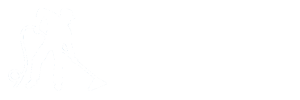 Bonham Carpet Cleaning